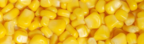 Сладкая кукуруза, желтая, зерна срезанные со стержня, замороженная, вареные, с солью