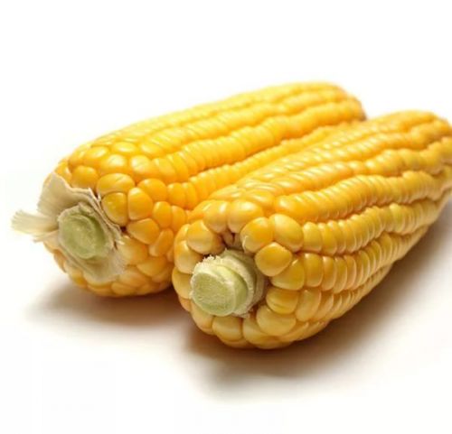 Сладкая кукуруза, желтая, зерна на стержне, замороженная, вареные, без соли