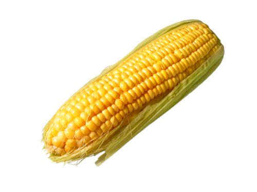 Кукуруза, желтая
