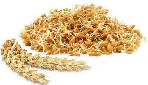 Зародыши пшеницы, сырые