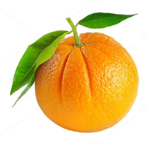 Апельсин, сырой, Флорида