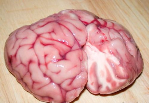 Мозги свинные