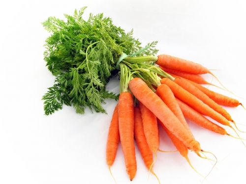 Молодая Морковь
